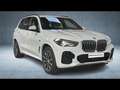 BMW X5 xDrive45e 394ch M Sport 17cv Weiß - thumbnail 16