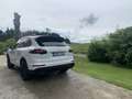 Porsche Cayenne 2016 FULL EXTRAS REVISIONES HECHAS - thumbnail 5