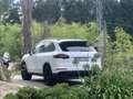 Porsche Cayenne 2016 FULL EXTRAS REVISIONES HECHAS - thumbnail 6