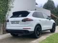 Porsche Cayenne 2016 FULL EXTRAS REVISIONES HECHAS - thumbnail 3