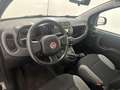 Fiat Panda 1.0 firefly hybrid s&s 70cv Nero - thumbnail 8