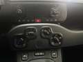Fiat Panda 1.0 firefly hybrid s&s 70cv Nero - thumbnail 15