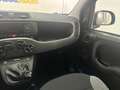 Fiat Panda 1.0 firefly hybrid s&s 70cv Nero - thumbnail 12