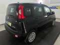 Fiat Panda 1.0 firefly hybrid s&s 70cv Nero - thumbnail 4
