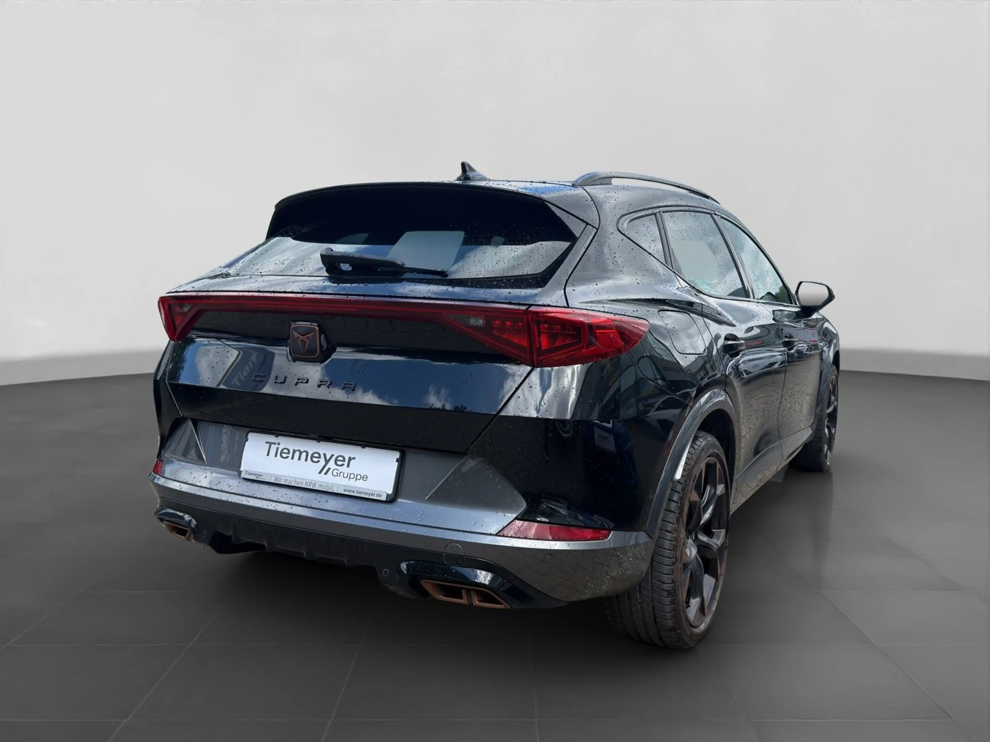 CUPRA Formentor e-Hybrid VZ LM19 ACC KAMERA FULL LINK — photo 3