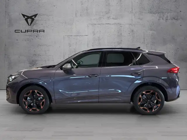 Cupra Terramar view 3