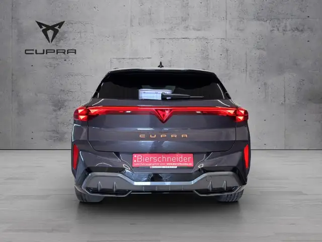 Cupra Terramar view 6