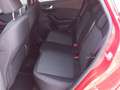 Ford Fiesta 5p 1.0 ecoboost ST-Line 125cv Rosso - thumbnail 9