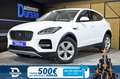 Jaguar E-Pace 2.0D 163PS MHEV S 4WD Auto Blanco - thumbnail 1