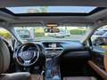 Lexus RX 450h Hybrid 299pk E-CVT AWD President Line Schwarz - thumbnail 13