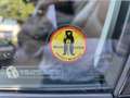 Lexus RX 450h Hybrid 299pk E-CVT AWD President Line Schwarz - thumbnail 20