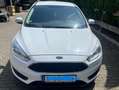 Ford Focus 1.0 EcoBoost Trend *68TKM* *BITTE LESEN* Blanc - thumbnail 2