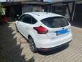 Ford Focus 1.0 EcoBoost Trend *68TKM* *BITTE LESEN* Blanc - thumbnail 4