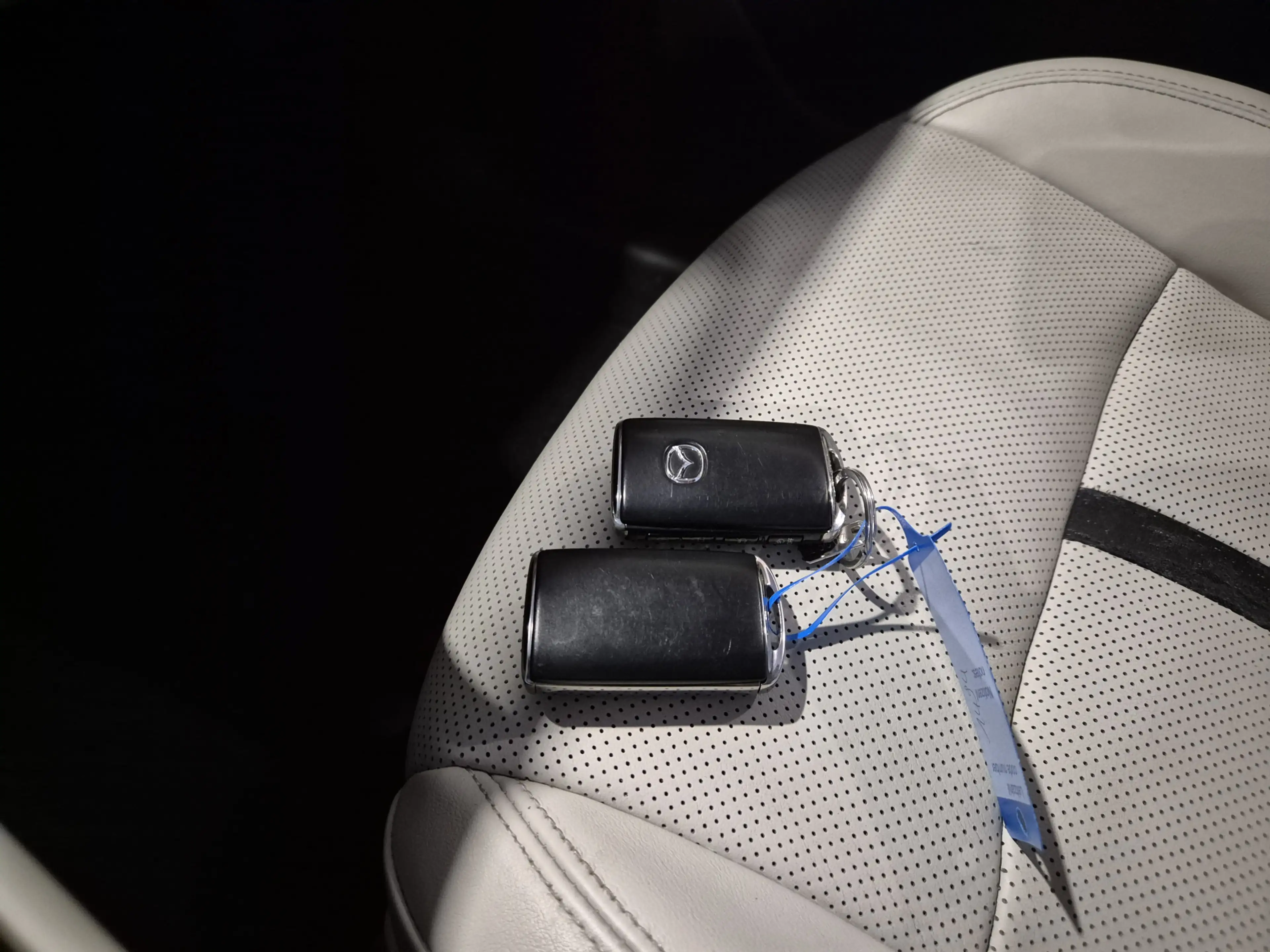 Mazda CX-60 2.5 e-SkyActiv PHEV Takumi Bose | HUD | el Trekhaa — photo 33