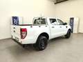 Ford Ranger 2.0 ECOBLUE DC XL 5 posti Cruise 4WD 4L LaneAssist Blanc - thumbnail 8
