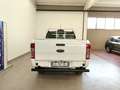 Ford Ranger 2.0 ECOBLUE DC XL 5 posti Cruise 4WD 4L LaneAssist Blanc - thumbnail 32