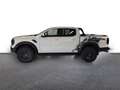 Ford Ranger RANGER RAPTOR -PAKET / NAVI / AHK / STANDHEIZUNG Weiß - thumbnail 3