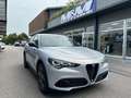 Alfa Romeo Stelvio 2.2 TD 160CV AT8 RWD Sprint MY23 #VARI COLORI Grigio - thumbnail 1