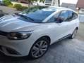 Renault Grand Scenic Grand Scenic TCe 140 GPF LIMITED Weiß - thumbnail 1