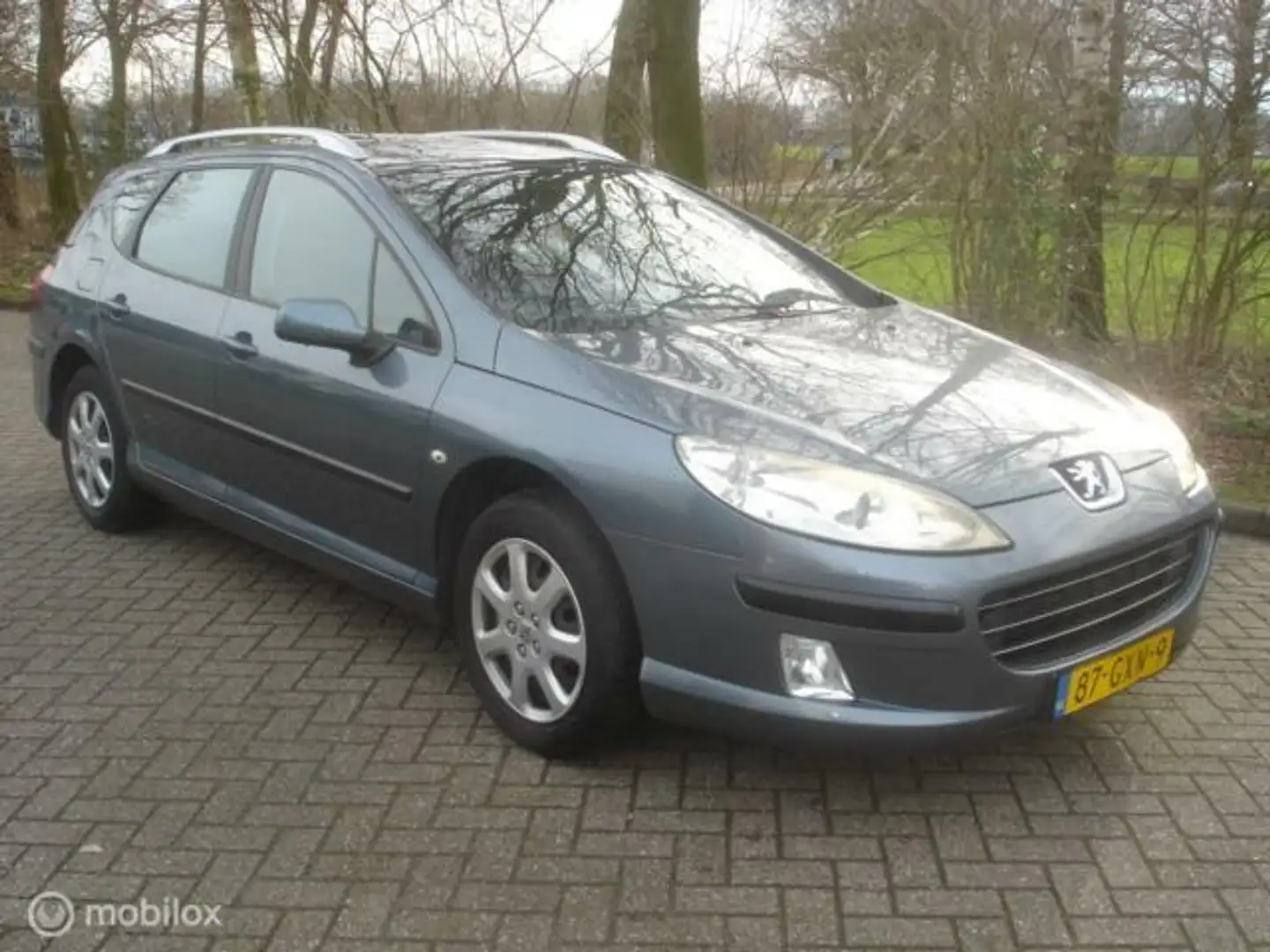 Peugeot 407 SW 18-16V XR Airco Panorama Motor slaat niet aan Bleu - 1
