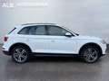 Audi Q5 50 TDI quattro basis/AUTOMATIK/VIRTUAL/2.HAND Weiß - thumbnail 6