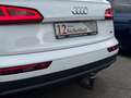 Audi Q5 50 TDI quattro basis/AUTOMATIK/VIRTUAL/2.HAND Weiß - thumbnail 11