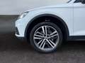 Audi Q5 50 TDI quattro basis/AUTOMATIK/VIRTUAL/2.HAND Weiß - thumbnail 9
