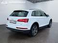 Audi Q5 50 TDI quattro basis/AUTOMATIK/VIRTUAL/2.HAND Weiß - thumbnail 5