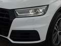 Audi Q5 50 TDI quattro basis/AUTOMATIK/VIRTUAL/2.HAND Weiß - thumbnail 10
