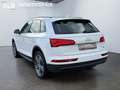 Audi Q5 50 TDI quattro basis/AUTOMATIK/VIRTUAL/2.HAND Weiß - thumbnail 3