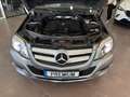 Mercedes-Benz GLK 220 220CDI BE 4M (9.75) Aut. Gris - thumbnail 19