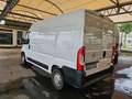 Opel Movano 2.2 TDCI 120 L2H2 Hochraumkasten Klima White - thumbnail 6