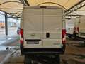Opel Movano 2.2 TDCI 120 L2H2 Hochraumkasten Klima White - thumbnail 5