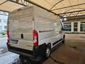 Opel Movano 2.2 TDCI 120 L2H2 Hochraumkasten Klima White - thumbnail 4