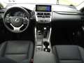 Lexus NX 300 Hybrid 4WD Premium Grey - thumbnail 14