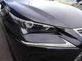 Lexus NX 300 Hybrid 4WD Premium Gris - thumbnail 9