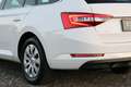 Skoda Superb 2.0 TDI*DSG*AHK*Keyless Entry*Abstandtempomat Weiß - thumbnail 7