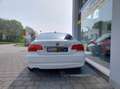 BMW 320 320d Coupe Attiva 184cv Bianco - thumbnail 6