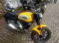 Ducati Scrambler 800 žuta - thumbnail 2
