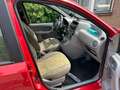 Fiat Panda Panda 1.1 Active Plus Rouge - thumbnail 7