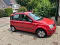 Fiat Panda Panda 1.1 Active Plus Rouge - thumbnail 2