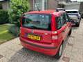 Fiat Panda Panda 1.1 Active Plus Rouge - thumbnail 4