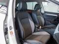 Volkswagen Golf Variant Golf VIII Variant 2.0 TDI DSG GOAL KLIMA, LED, Weiß - thumbnail 8