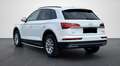 Audi Q5 40 TDI quattro Weiß - thumbnail 5
