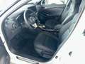 Nissan Juke Juke Redline Edition DCT Automatik 114PS BOSE LED Weiß - thumbnail 9