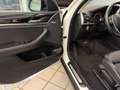 BMW X4 X4 xDrive20d 48V xLine Bianco - thumbnail 6