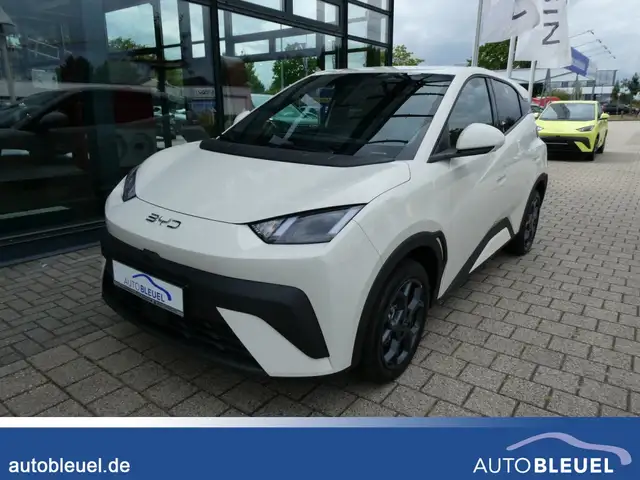 BYD Dolphin Surf