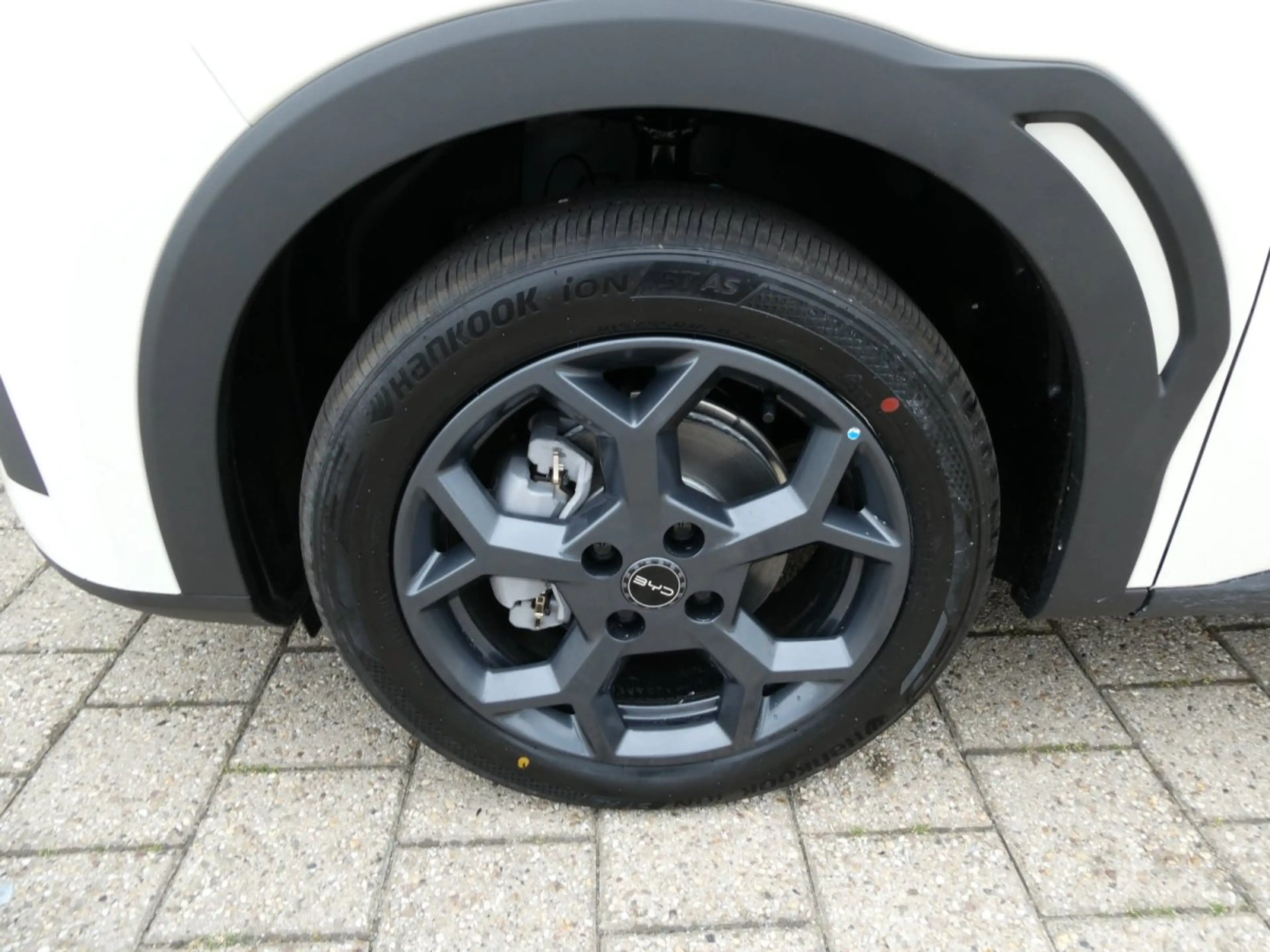 BYD Dolphin Surf Comfort 43kWh *Leder*LED*360-Grad*SHZ* — photo 6