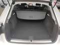 Audi A4 40 TFSI S tronic *NAV+*R-CAM*GRA*SHZ* Weiß - thumbnail 22