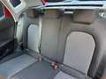 SEAT Arona 1.0 TSI 70kW Reference Edition Eco Rojo - thumbnail 15